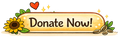 100 shoeboxes Kickoff Donation